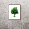 Premiumposter Baum Premiumposter Baum in Rahmen